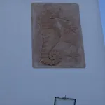 Hippocampus * Antiparos