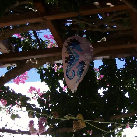 Hippocampus Appartement Antiparos