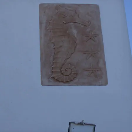 Hippocampus * אנטיפארוס