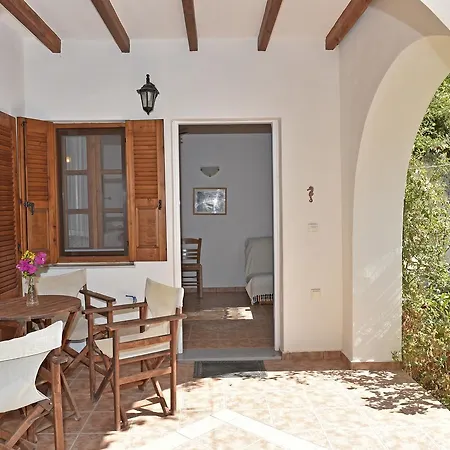 Hippocampus 安迪帕罗斯岛