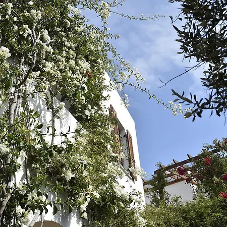 Hippocampus Apartment Antiparos