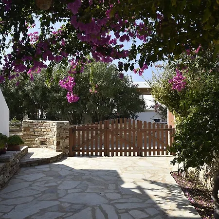 Hippocampus 公寓 安迪帕罗斯岛