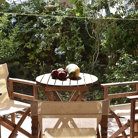 Hippocampus 安迪帕罗斯岛