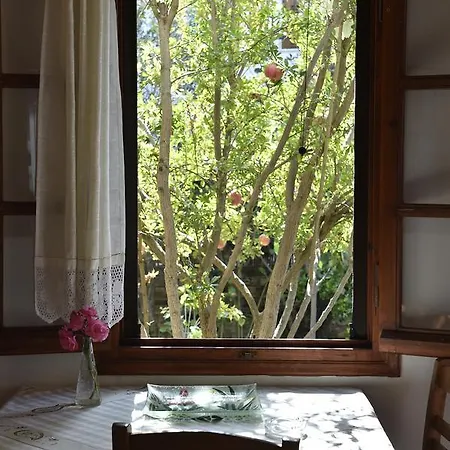 Hippocampus * 安迪帕罗斯岛