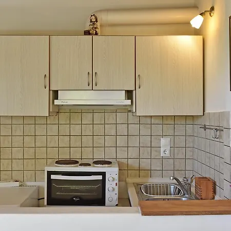 Hippocampus * 安迪帕罗斯岛