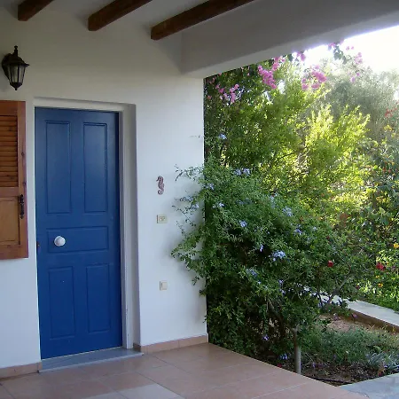 Hippocampus 安迪帕罗斯岛