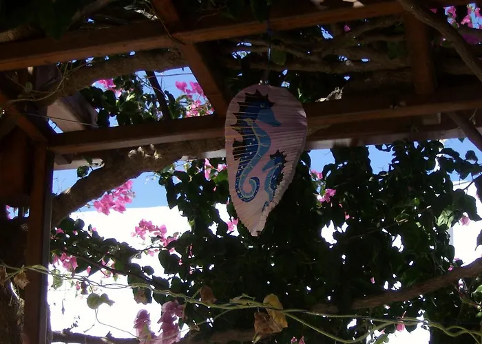 Hippocampus Apartamento Antiparos ciudad