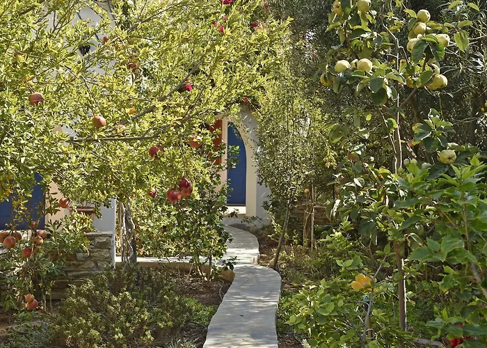 Hippocampus Apartamento *