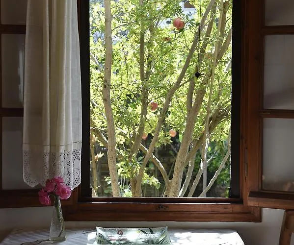 Hippocampus * Antiparos ciudad