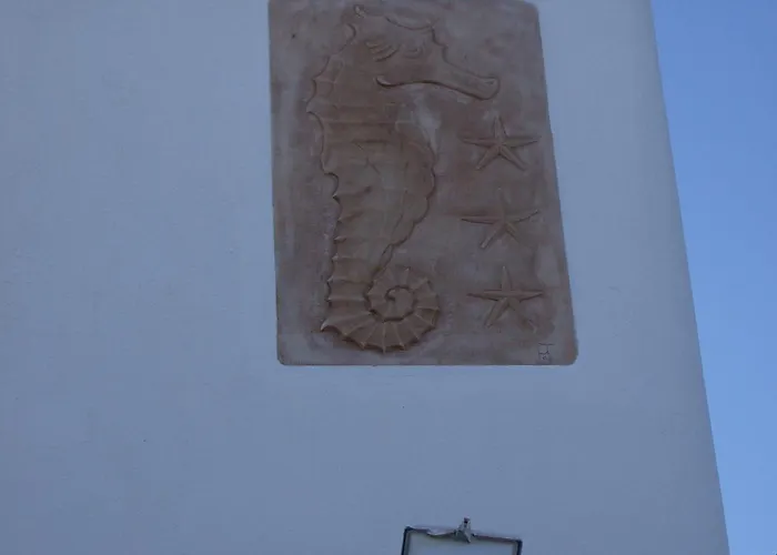 Hippocampus * Antiparos ciudad