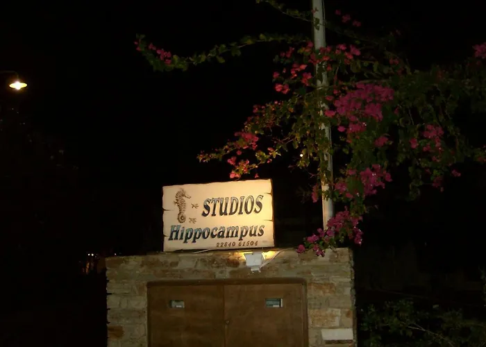 Hippocampus Antiparos ciudad